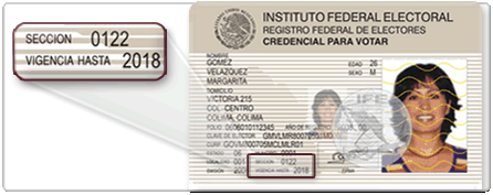 Número de Sección en tu IFE