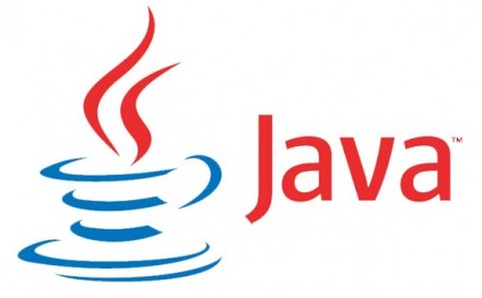 Vulnerabilidad en java  710