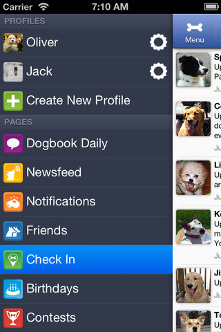 Dogbook red social para perros