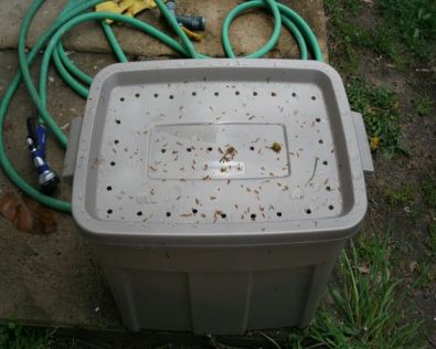 Composta en bote